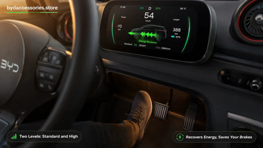 Driver easing off the accelerator in a BYD Dolphin with the instrument cluster showing green energy recovery