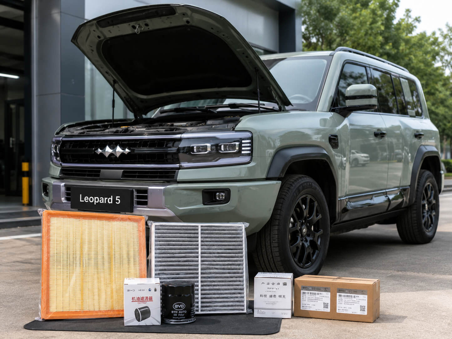 BYD Formula Leopard 5 Engine, Cabin & Oil Filter Kit Installed | OEM Maintenance Parts