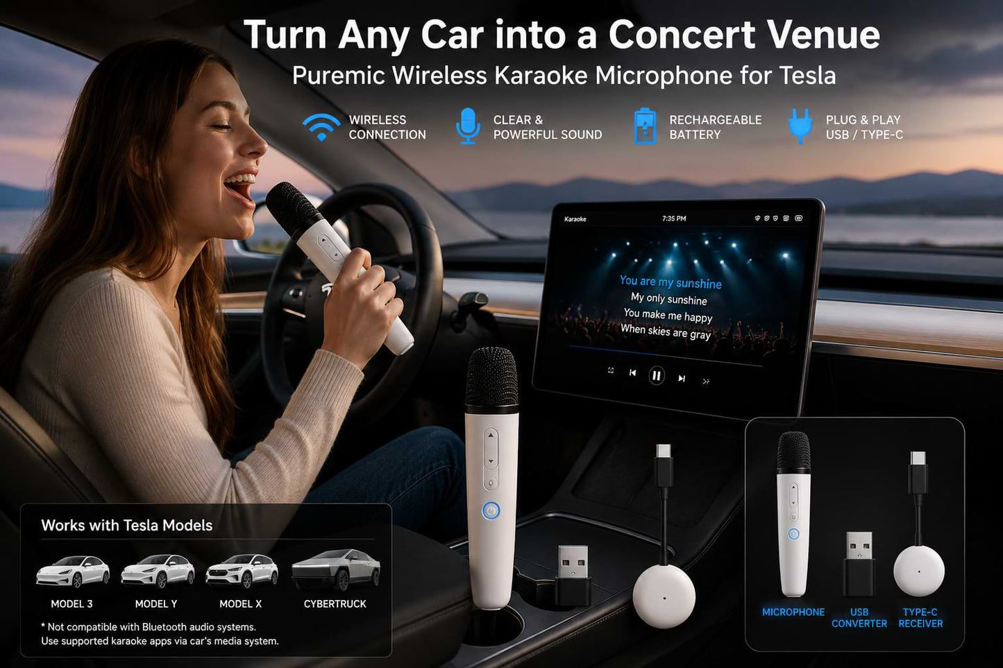Wireless Car Karaoke Microphone for BYD Vehicles with Type-C Connection